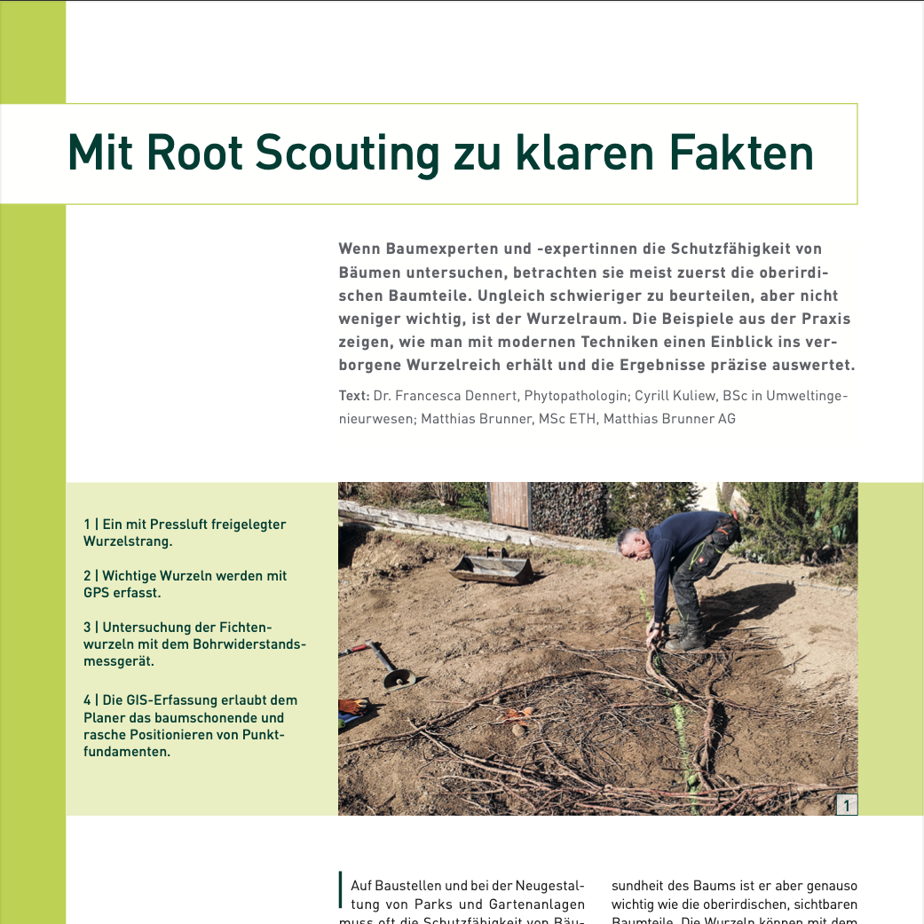 Mit Root Scouting zu klaren Fakten